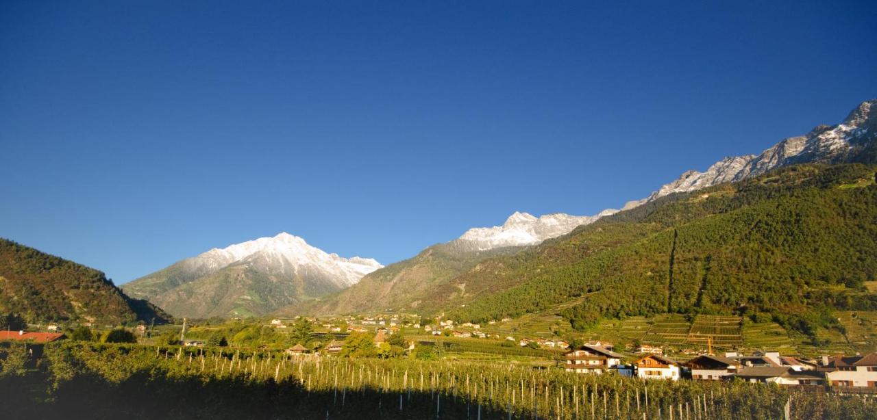 Grieserhof Algund Екстериор снимка