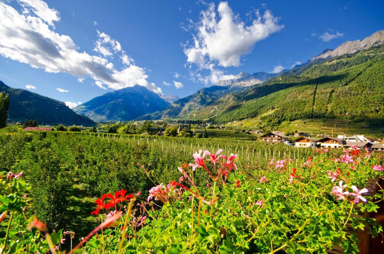 Grieserhof Algund Екстериор снимка